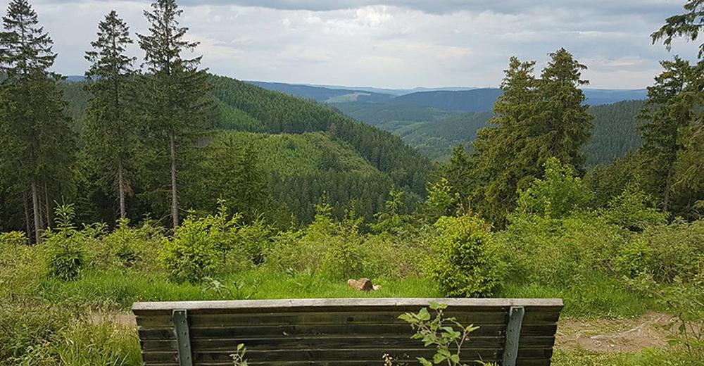 Ferienhaus Astenblick - Ideal Fuer Weihnachtsfeiern Und Familienfeiern Bietet Schlafplaetze Fuer Bis Zu 35 Personen Villa Winterberg Exteriör bild